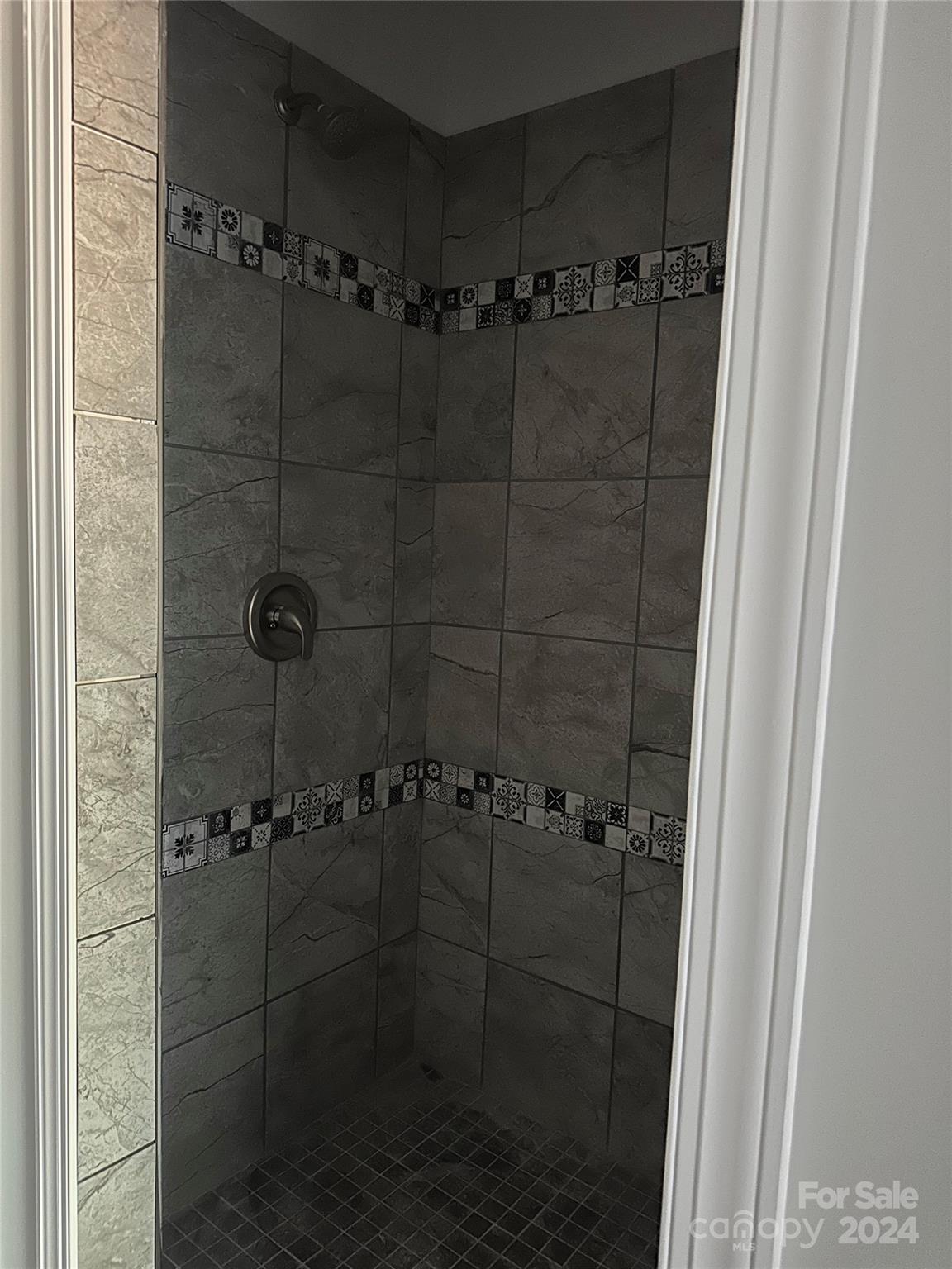 3795 Red Doc Road Lancaster, SC 29720 - Photo 3 of 5 a bathroom with a shower