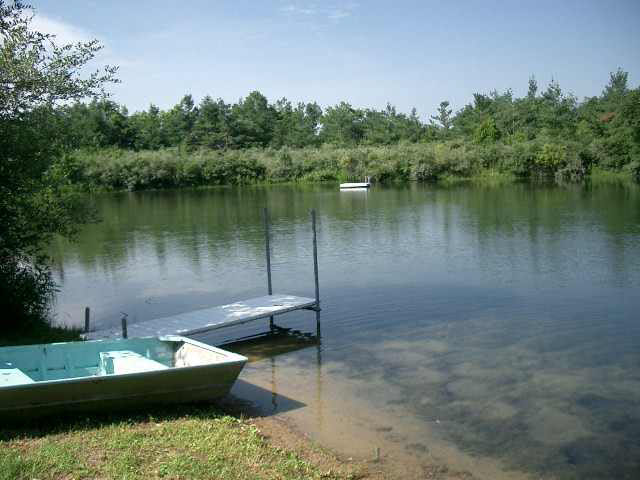 6550 West County Road Ridgeville, IN 47380 - Photo 4 of 9 Gallery Image 4