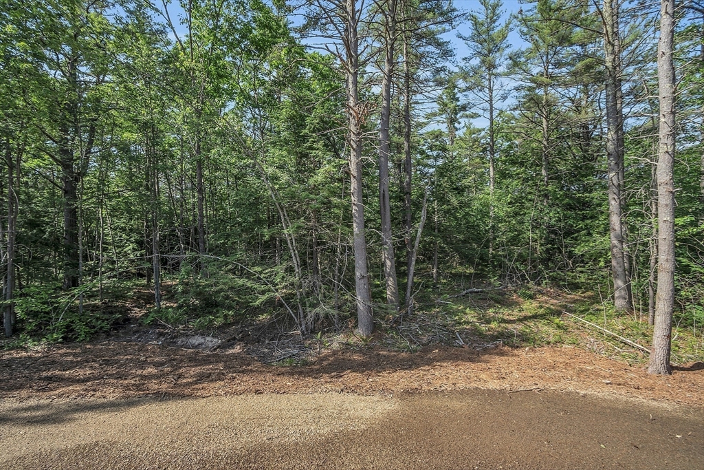 373 Hitchcock Road Winchendon, MA 01475 - Photo 37 of 39 Gallery Image 37