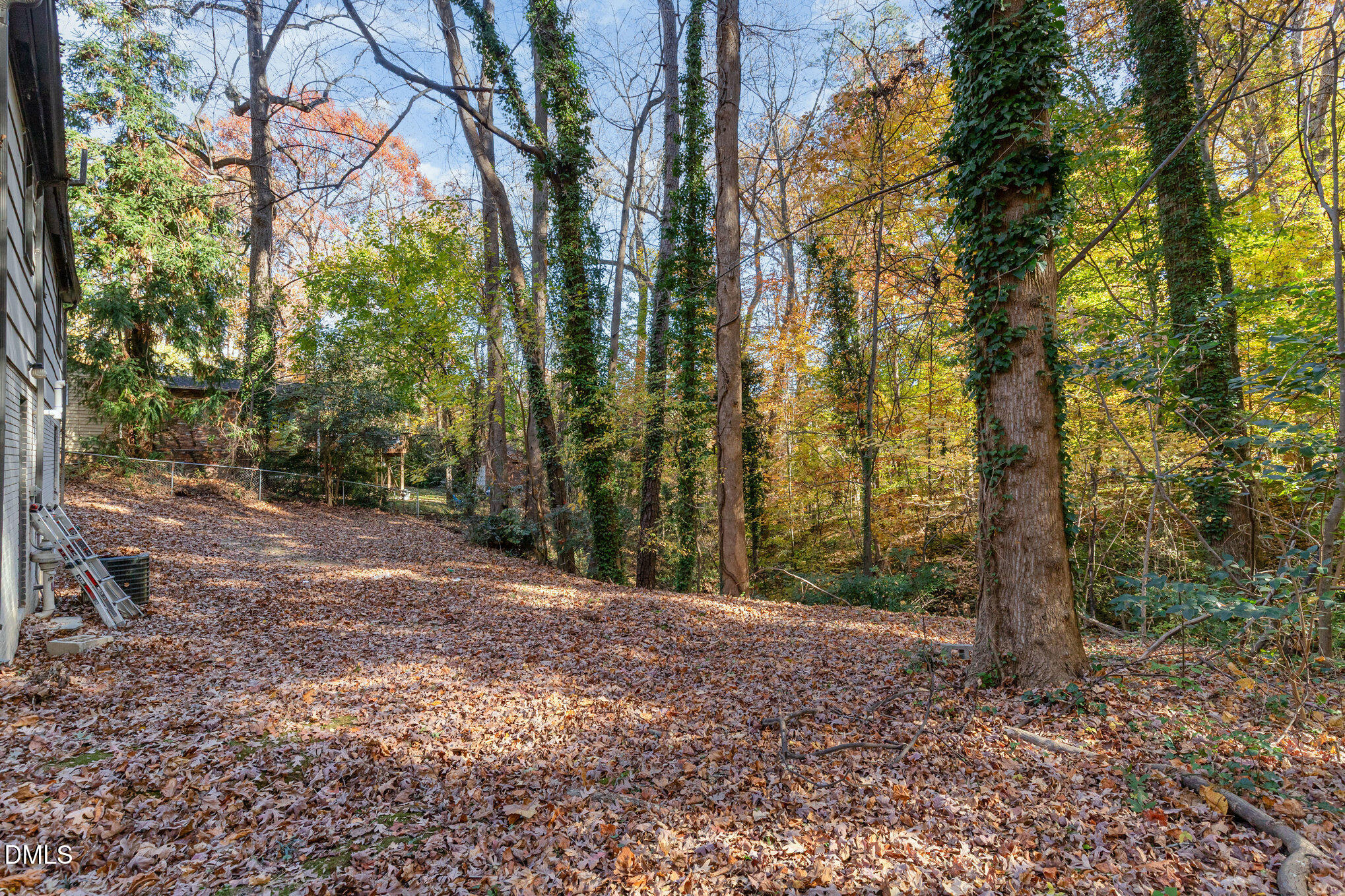 608 Dennis Avenue Raleigh, NC 27604 - Photo 27 of 30 a view of a yard with trees