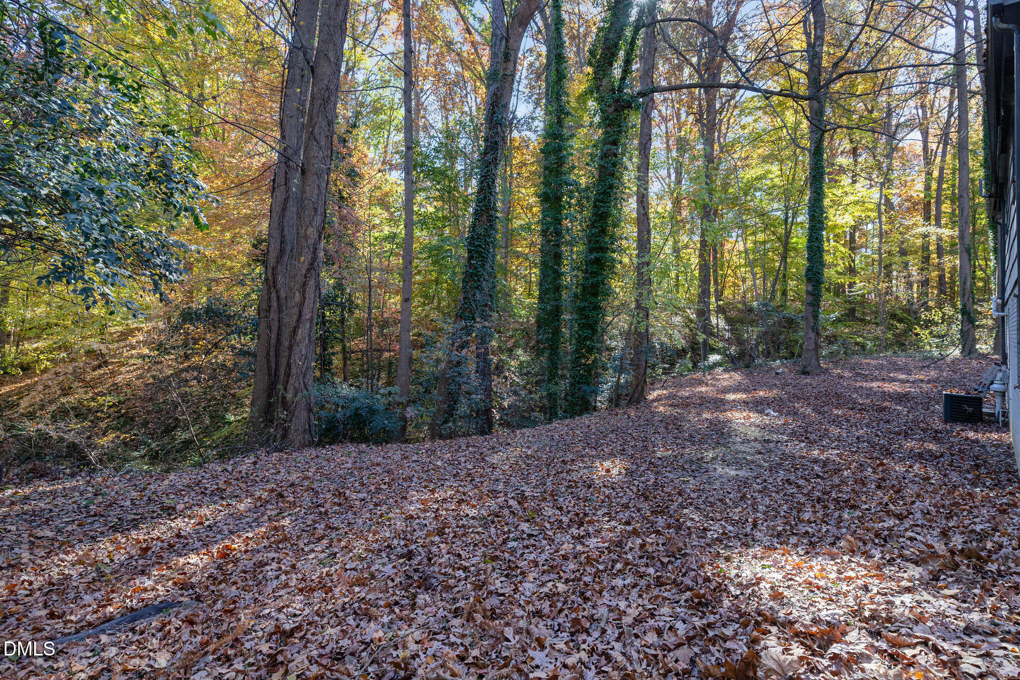608 Dennis Avenue Raleigh, NC 27604 - Photo 28 of 30 a view of a yard with plants and trees