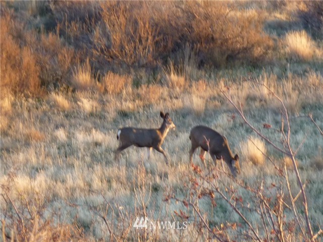 6711 Robbins Road Ellensburg, WA 98926 - Photo 1 of 1 Gallery Image 1