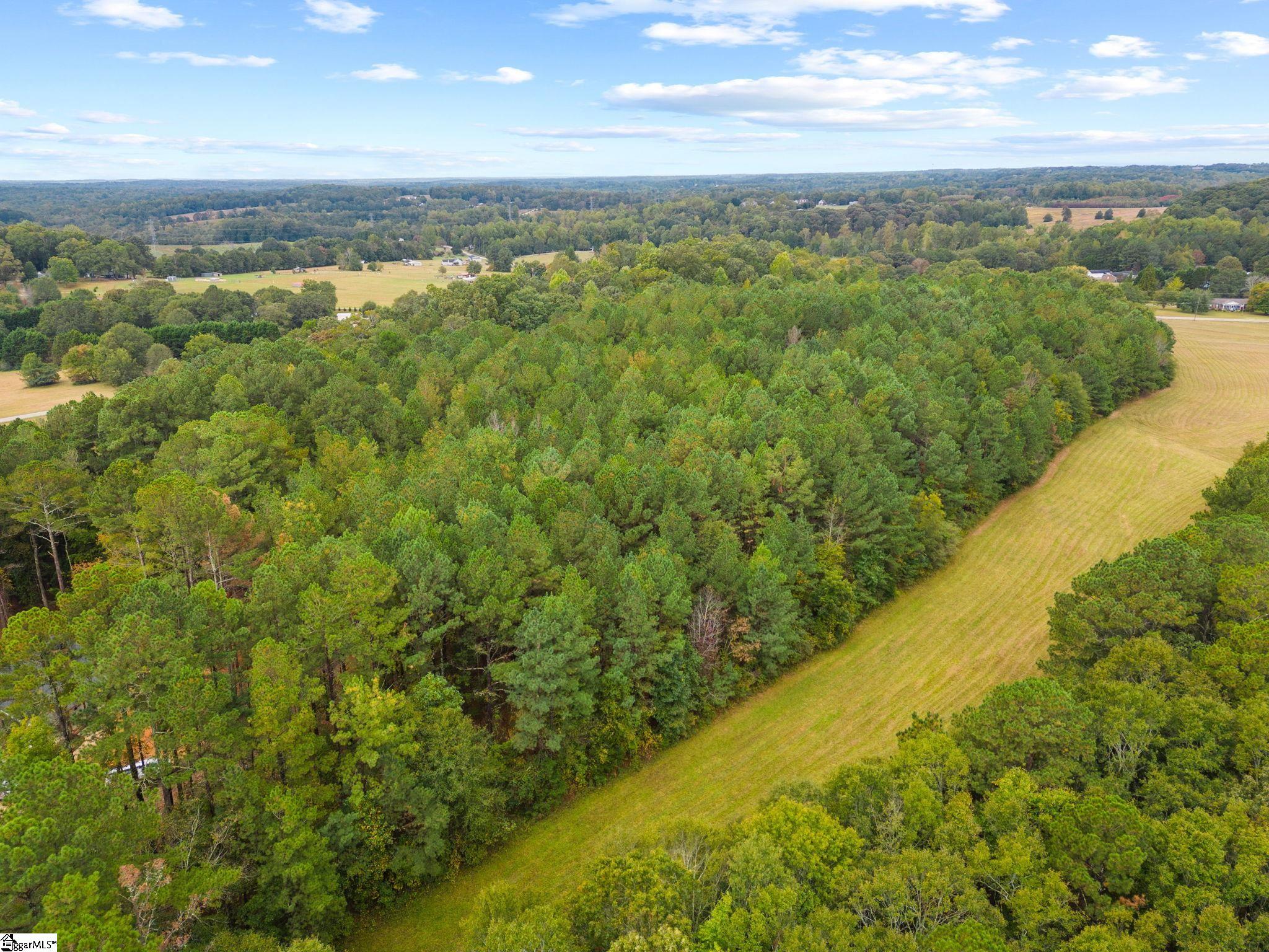 311 McWhorter Road Easley, SC 29642 - Photo 15 of 22