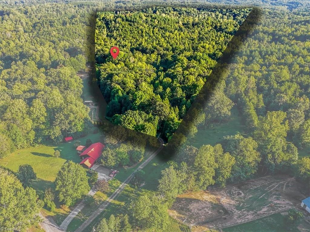 558 Throckmorton Road Madison, NC 27025 - Photo 44 of 48 Gallery Image 44