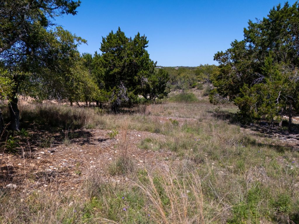 160 Lakefront Drive Point Venture, TX 78645 - Photo 8 of 21 a view of a dry yard with trees