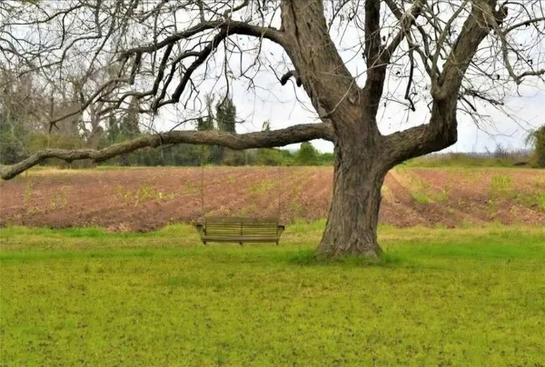 $1,300 | 2223 County Road 107, Wharton, TX 77488