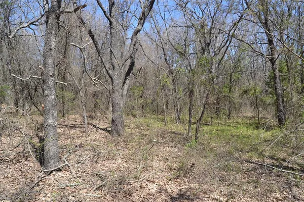 a view of dirt field with trees in the background