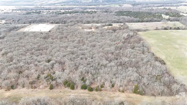 a view of a dry yard