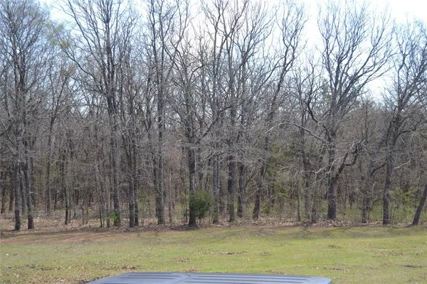 a view of outdoor space with trees