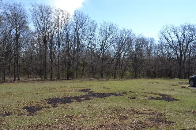 a view of a dirt field with trees in the background