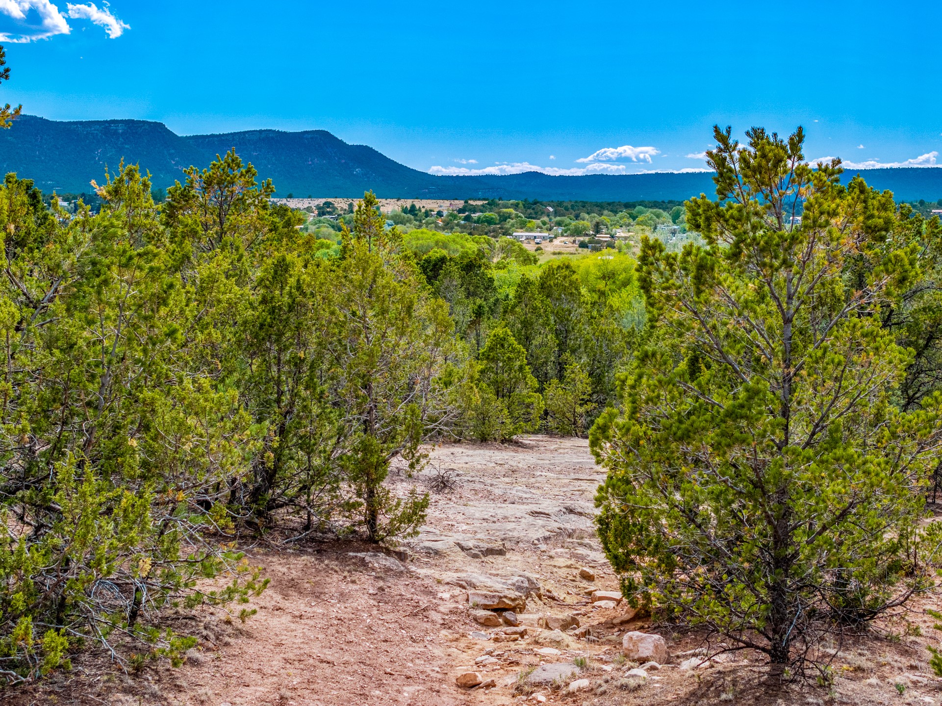 2.38-acres Old Colonias Road Pecos, NM 87552 - Photo 8 of 25