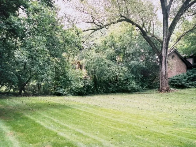 a view of a yard with a trees