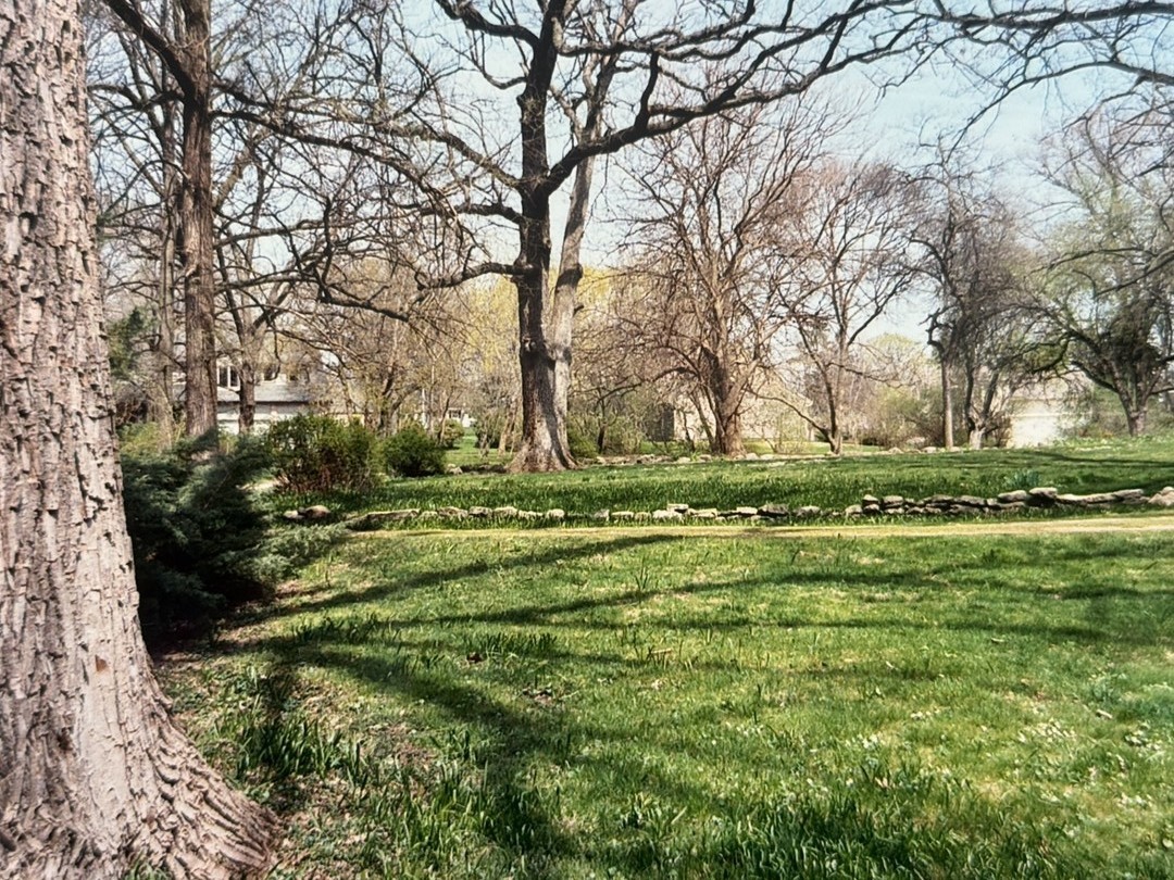 2007 Ohio Street Lisle, IL 60532 - Photo 2 of 4 a view of green field
