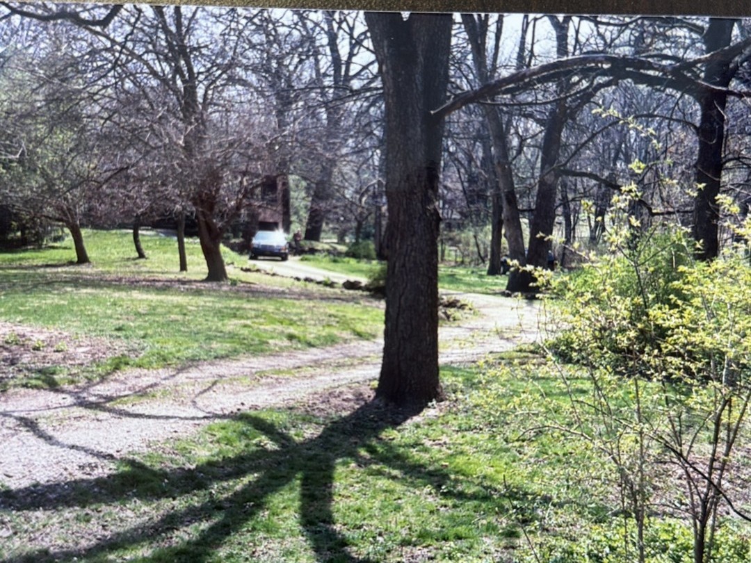 2007 Ohio Street Lisle, IL 60532 - Photo 3 of 4 a backyard of a house with lots of green space