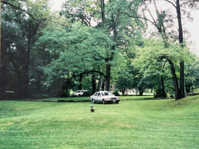 a white house in middle of the forest