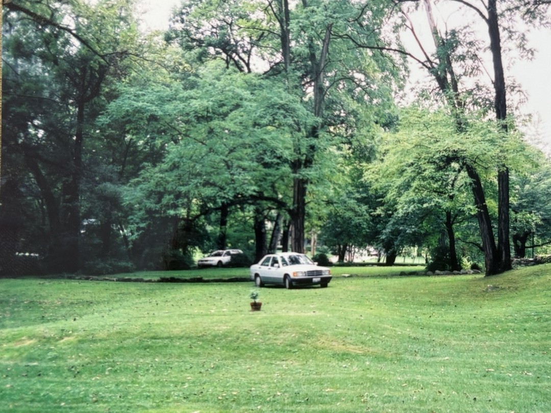 2007 Ohio Street Lisle, IL 60532 - Photo 4 of 4 a white house in middle of the forest