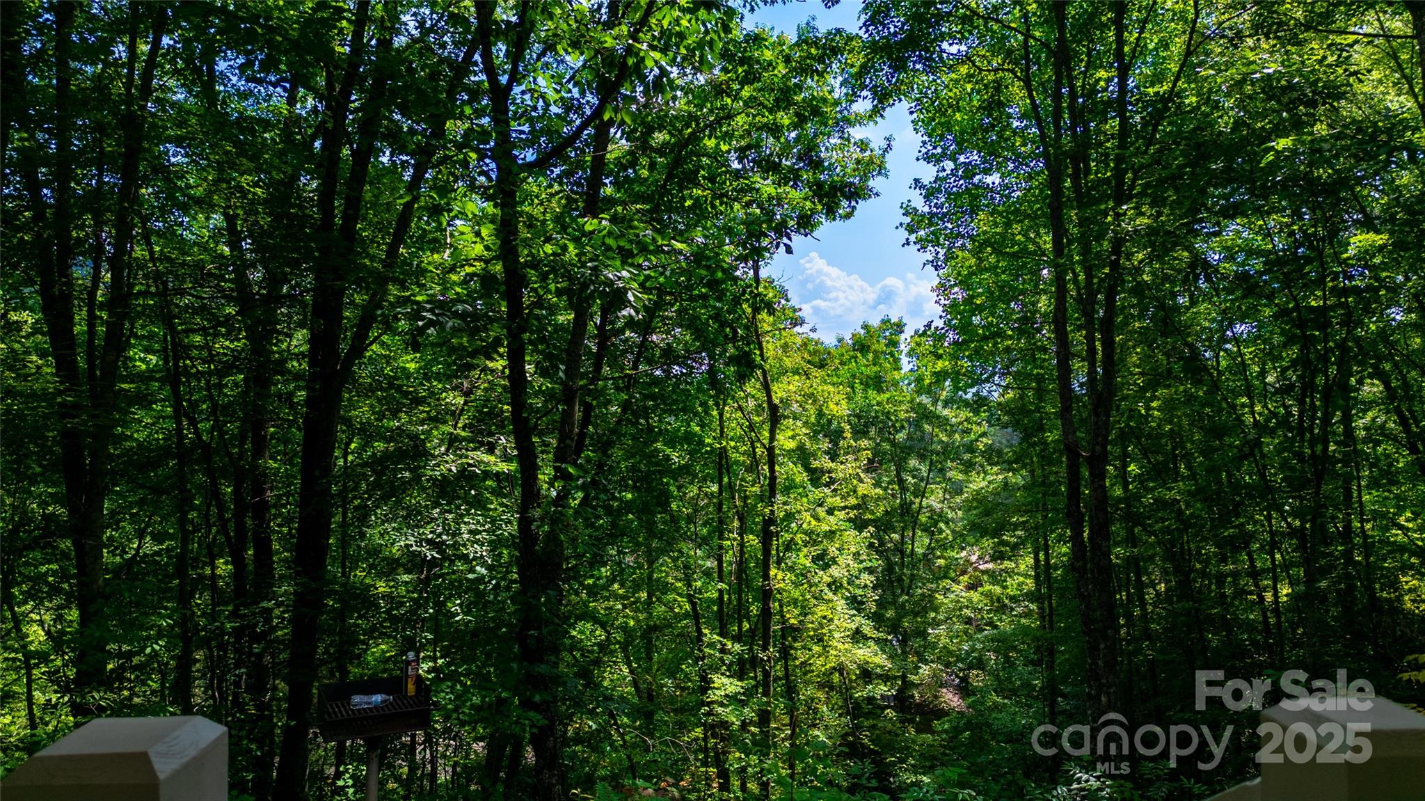419 Bayberry Cove Road Sylva, NC 28779 - Photo 11 of 12 a backyard of a house with lots of green space and trees