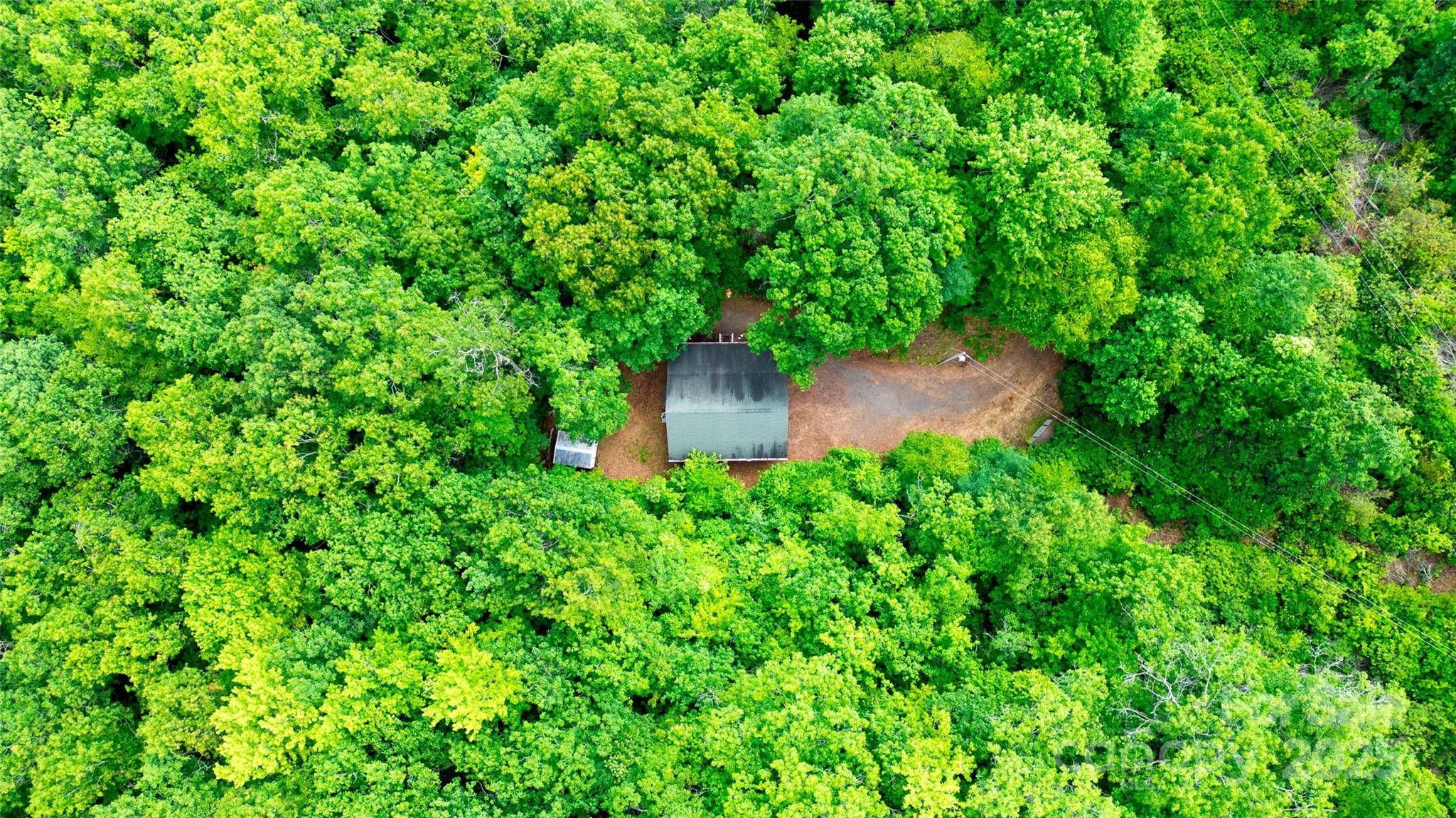 419 Bayberry Cove Road Sylva, NC 28779 - Photo 12 of 12 a backyard of a house with lots of green space