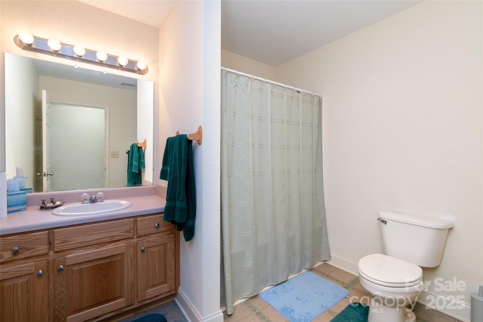 419 Bayberry Cove Road Sylva, NC 28779 - Photo 5 of 12 a bathroom with a sink toilet and shower