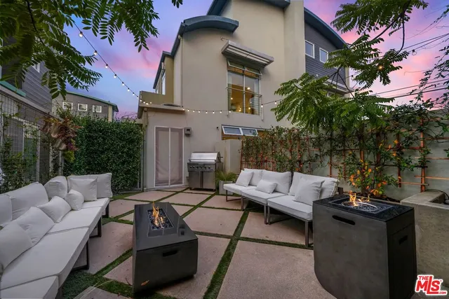 a view of a patio with couches and a potted plant on a table