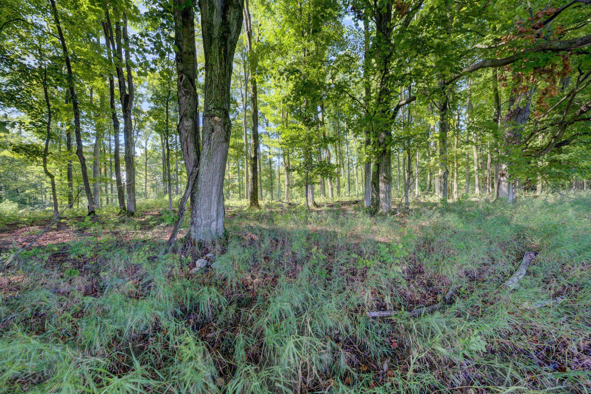 3483 Kiessel Road Central Lake, MI 49622 - Photo 39 of 52 1950663-068e6ec8-9018-4f8d-bc2e-8eb9f655731b.JPG