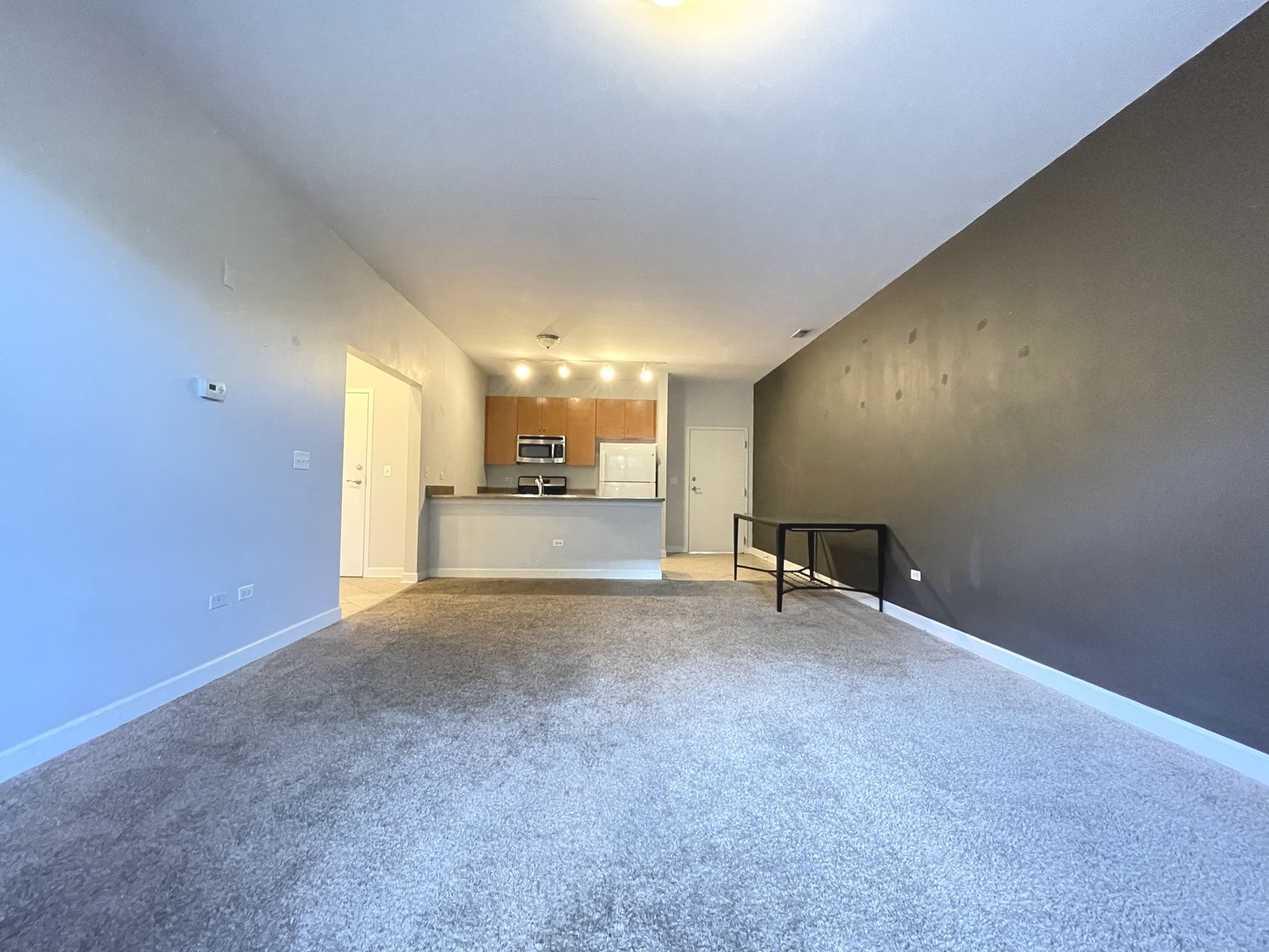 757 West Liberty Street, Unit 207 Chicago, IL 60607 - Photo 3 of 16 Gallery Image 3