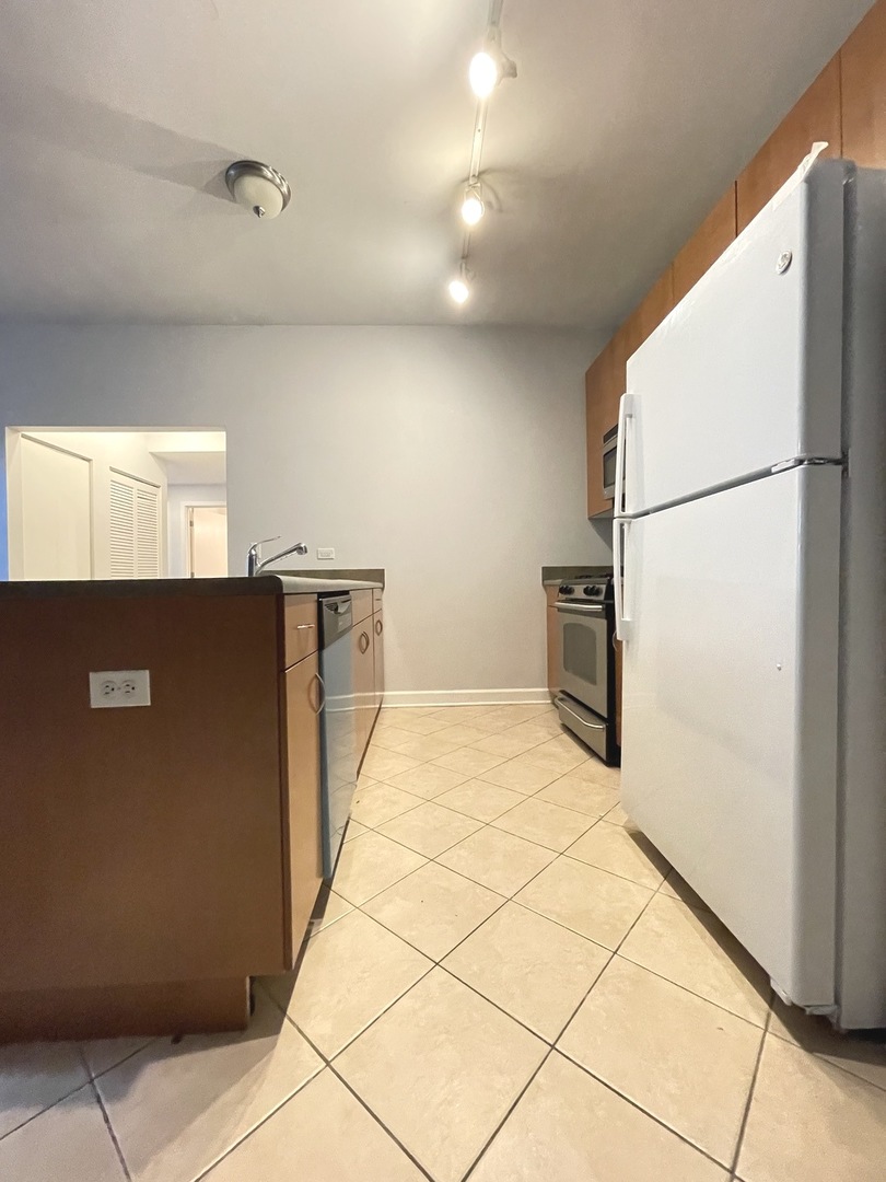 757 West Liberty Street, Unit 207 Chicago, IL 60607 - Photo 7 of 16 Gallery Image 7