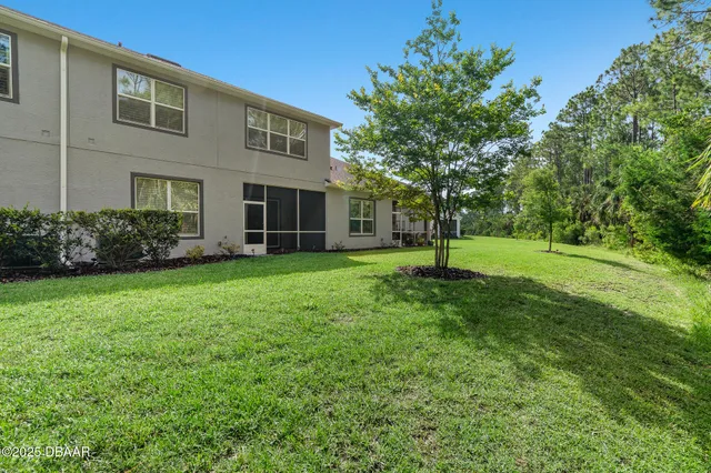 a view of a field with a tree