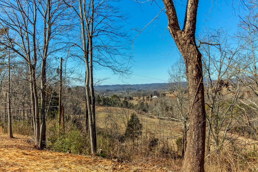 313 Cumberland View Road Clinton, TN 37716 - Photo 8 of 31 PorchView