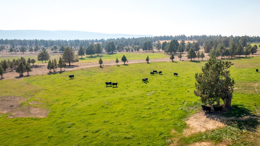 7150 Bunn Road Bonanza, OR 97623 - Photo 52 of 73 7150BunnRd.-12