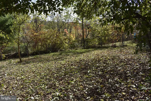 a view of a yard with a tree