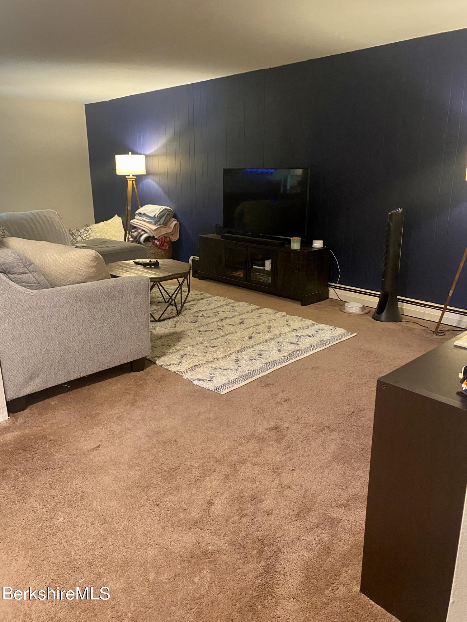 84 Ingalls Road Cheshire, MA 01225 - Photo 31 of 43 lower level living room