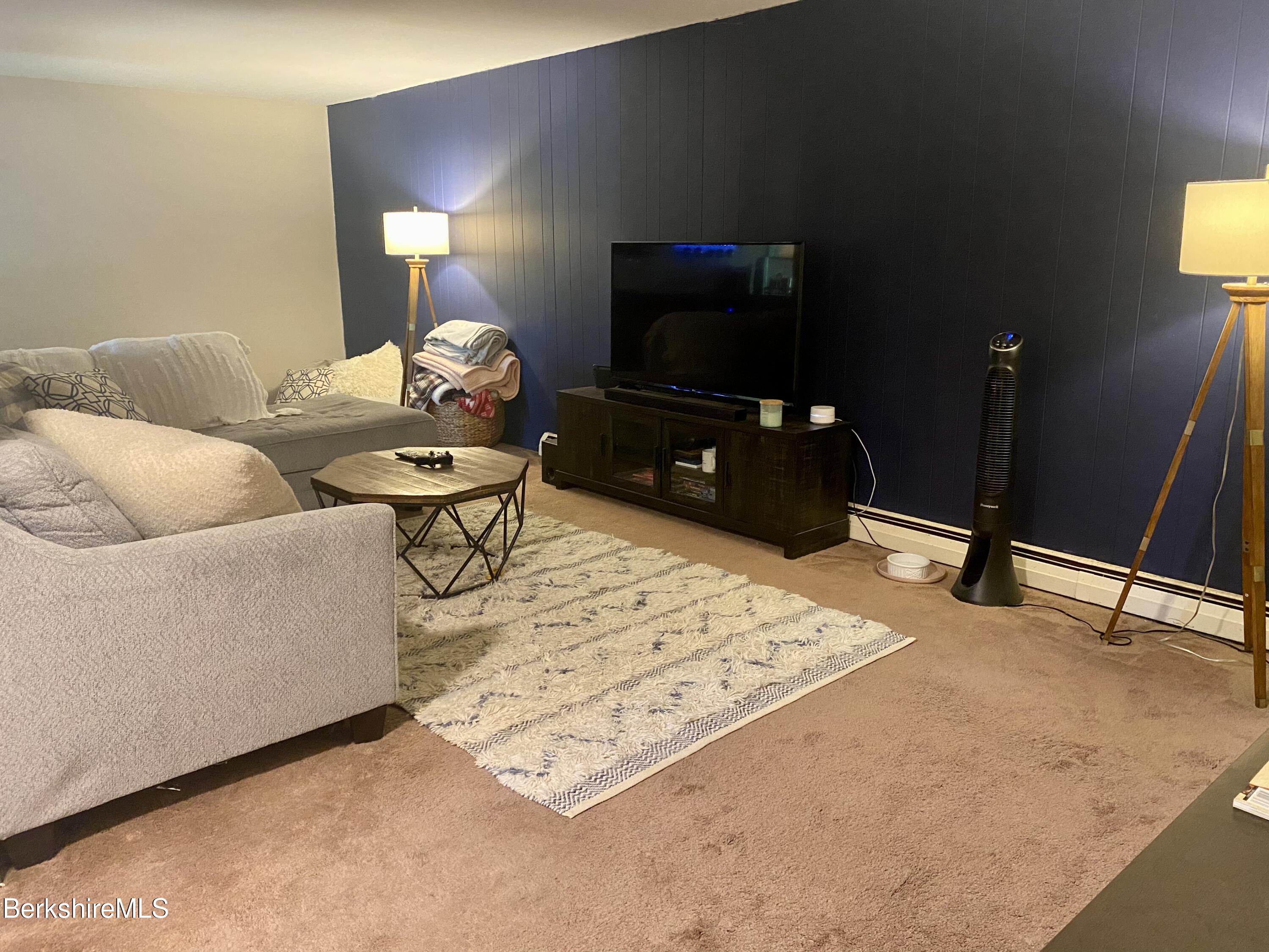 84 Ingalls Road Cheshire, MA 01225 - Photo 32 of 43 lower level living room