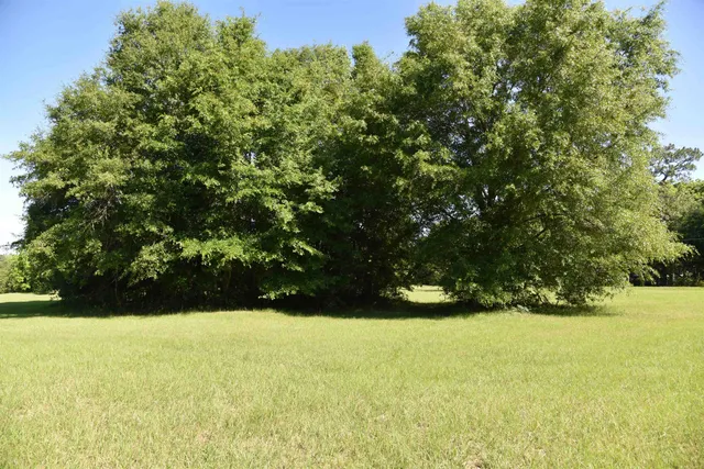 $169,000 | Solomon Dairy Road, Quincy, FL 32352