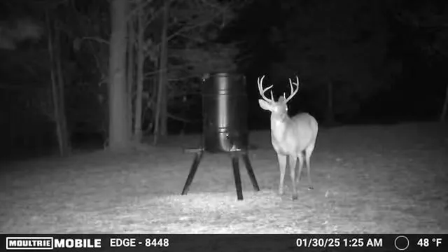 $169,000 | Solomon Dairy Road, Quincy, FL 32352