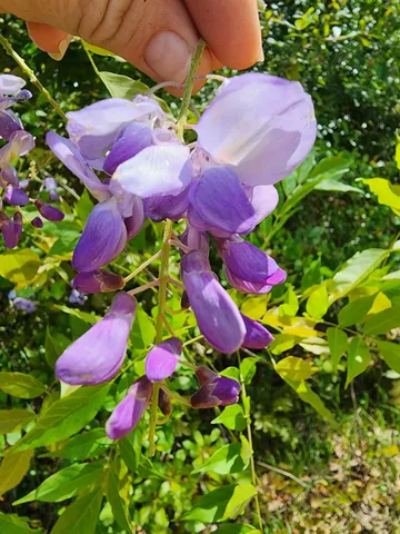 $169,000 | Solomon Dairy Road, Quincy, FL 32352