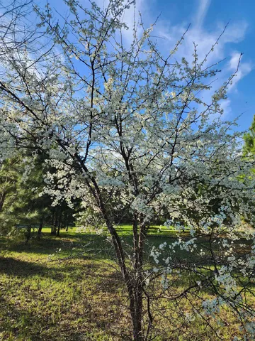 $169,000 | Solomon Dairy Road, Quincy, FL 32352