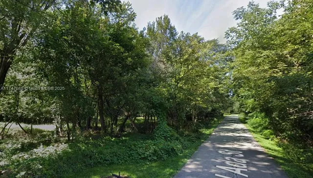 a view of a pathway both side of yard