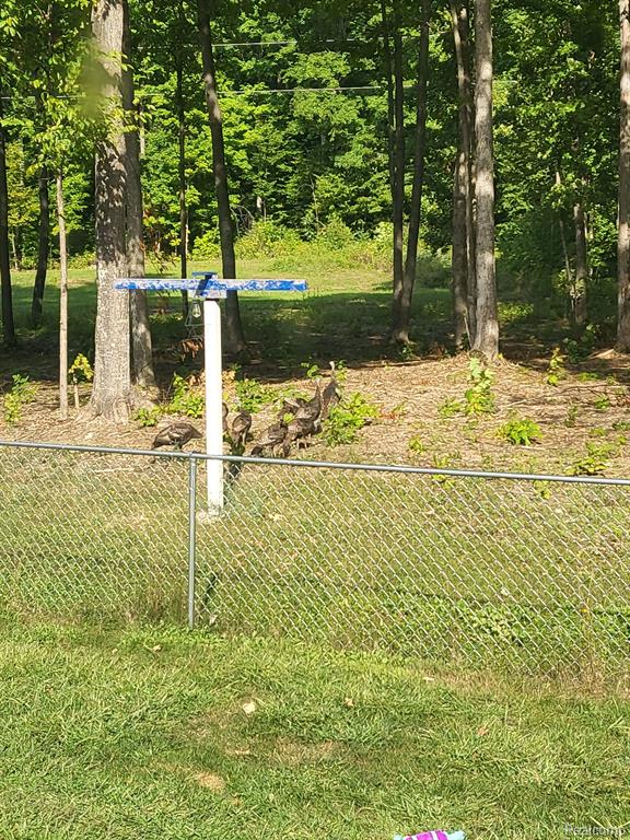 8530 Brudy Road Wolverine, MI 49799 - Photo 42 of 58