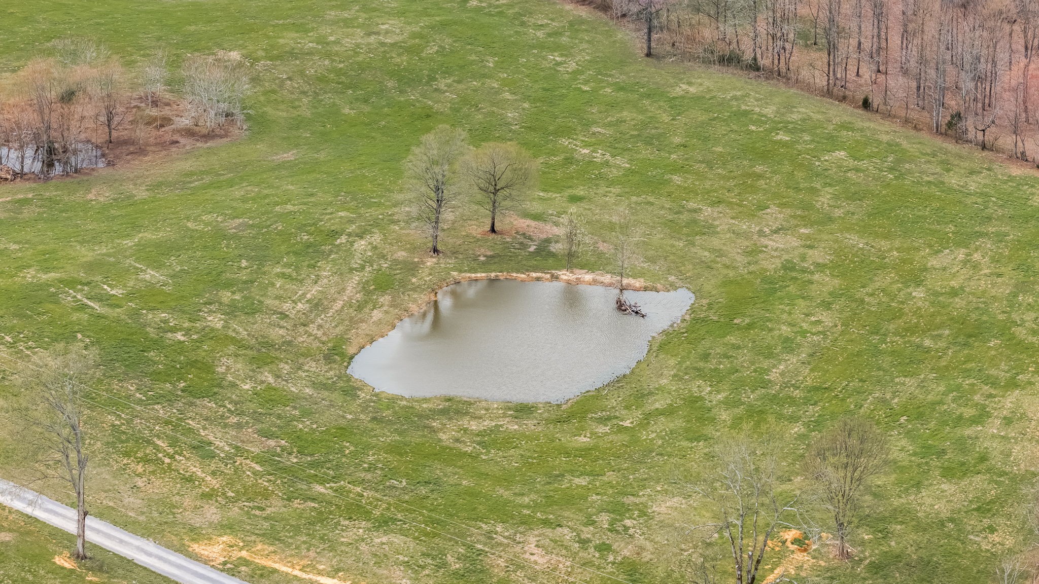 922 Goodridge Road Woodbury, TN 37190 - Photo 51 of 52 Gallery Image 51