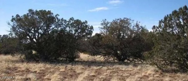 $27,500 | 363 Heber Az 85928, Unit 363, Heber, AZ 85928