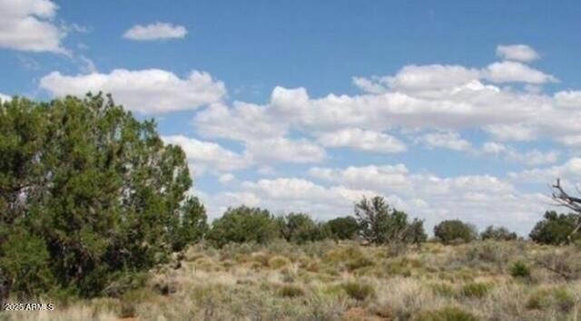 363 Heber Az 85928, Unit 363 Heber, AZ 85928 - Photo 3 of 3