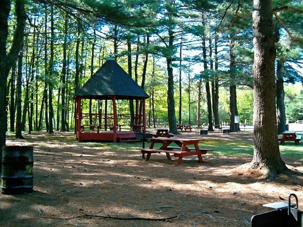 15 Minott Road Westminster, MA 01473 - Photo 20 of 26 a view of a park with large trees and a patio