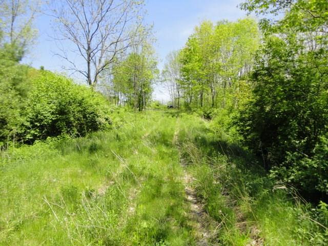 133 Harding Bridge Road Gorham, ME 04038 - Photo 4 of 14 Photo