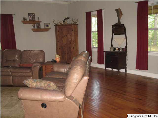 1145 Logan Martin Road Alpine, AL 35014 - Photo 3 of 20