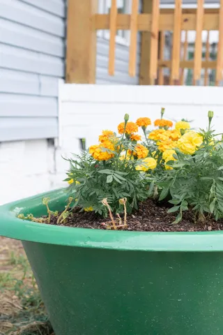 $130,000 | 1151 Roselle Street, Augusta, GA 30901