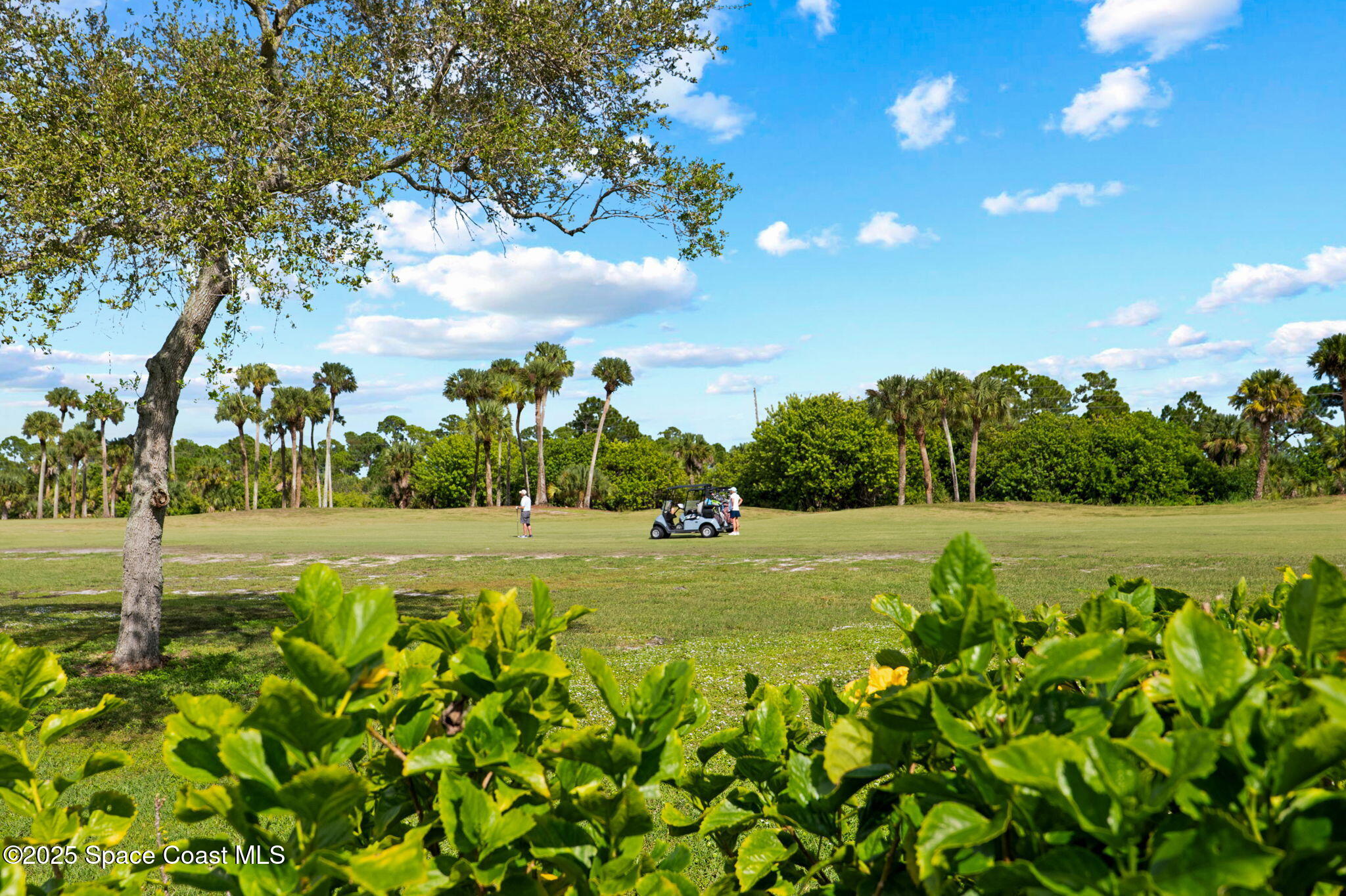 3465 Sunset Ridge Drive Merritt Island, FL 32953 - Photo 37 of 49 39-web-or-mls-House-40