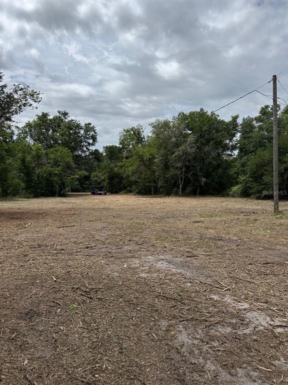 3101 Bruton Road Plant City, FL 33565 - Photo 6 of 13