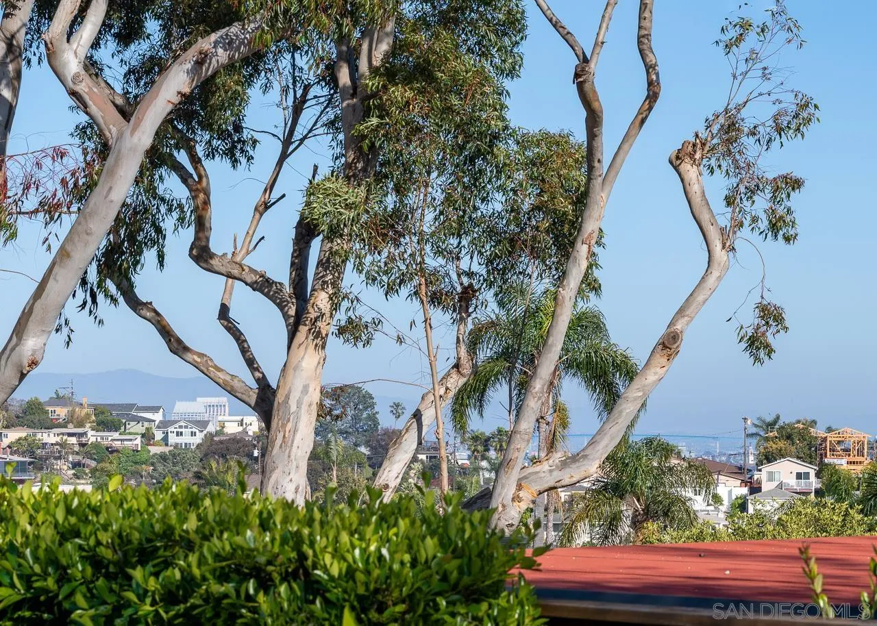 3733 La Cresta Drive San Diego, CA 92107 - Photo 56 of 57