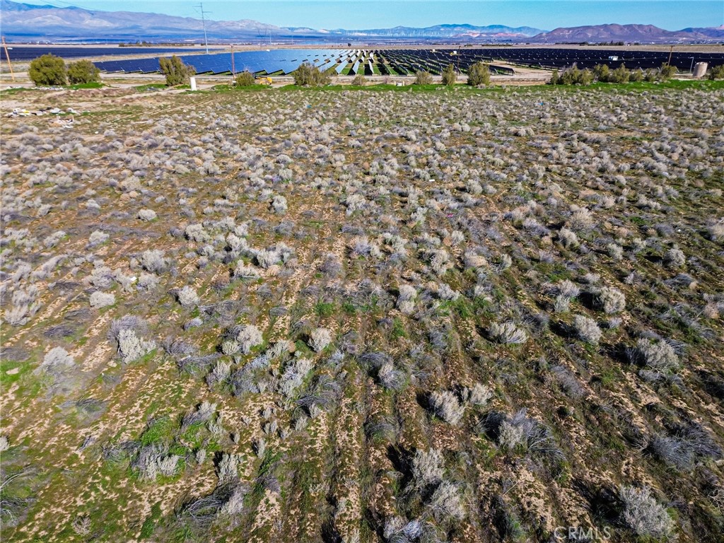 10400 West Ave B Lancaster, CA 93536 - Photo 36 of 43 a view of a large tree
